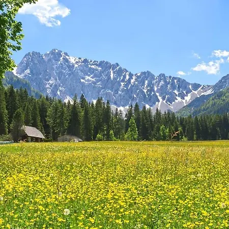 Silent Peak Lodge, Holzhaus In Traumlage, 180qm Holiday home *